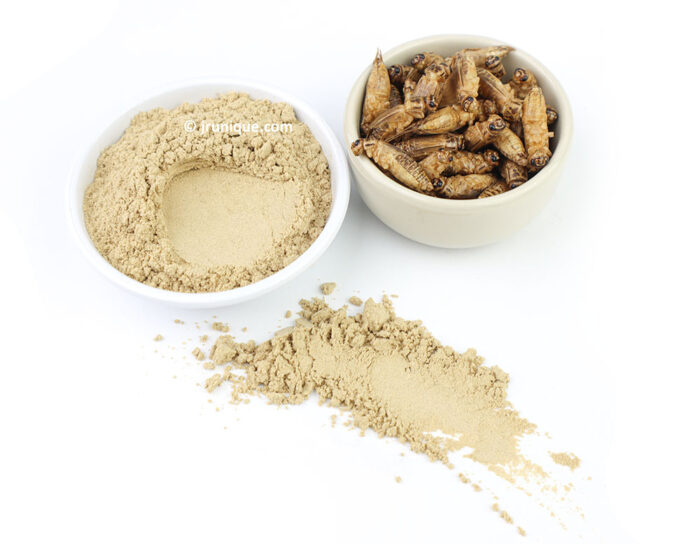 Cricket Powder fineness sample