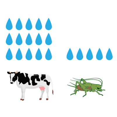 crickets-consume-less-water crickets consume less water