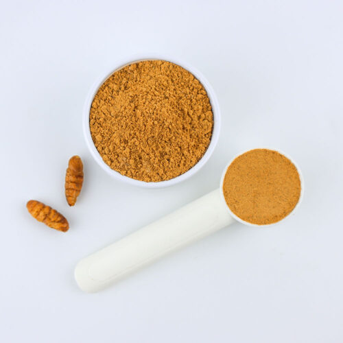 Silkworm Pupae Protein Powder