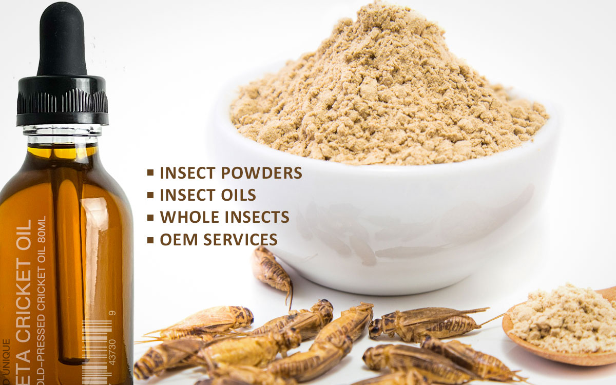 Bulk Wholesale edible insects oem