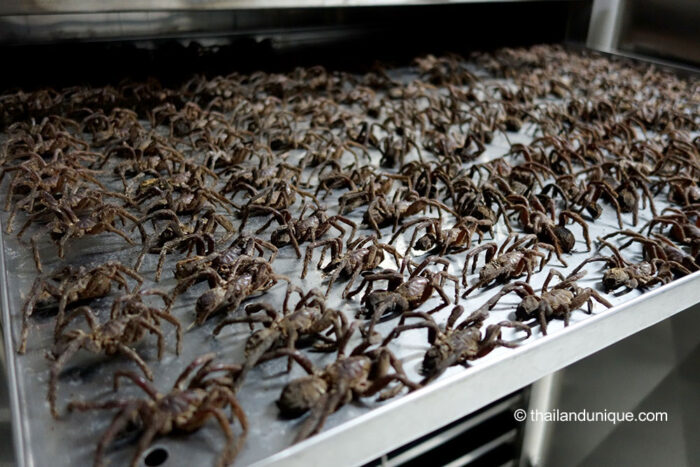 Drying Edible Tarantulas