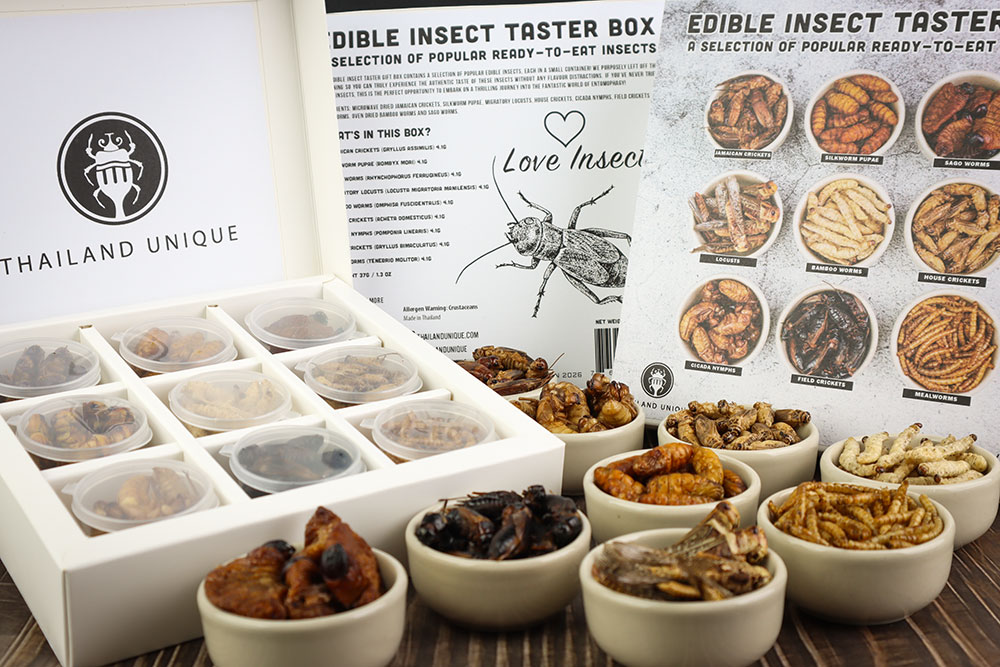 Edible Insect Gift Set Closeup