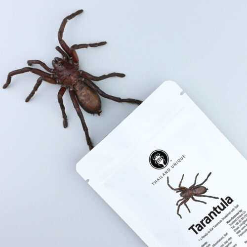 edible tarantula in bag